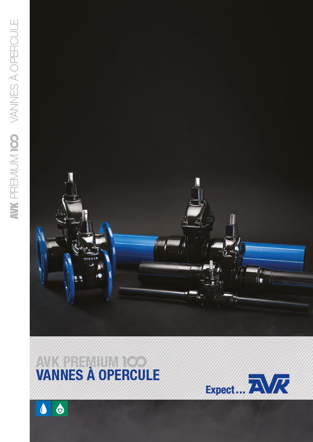 Vannes Premium 100