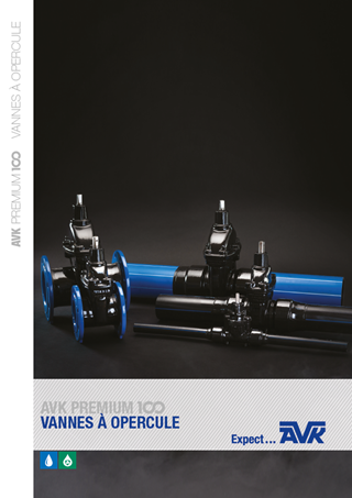 Vannes Premium 100